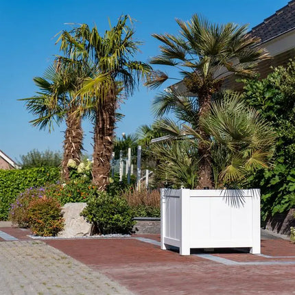 Aluminium Plantenbak op Poten 80 x 80 x 80 cm Wit
