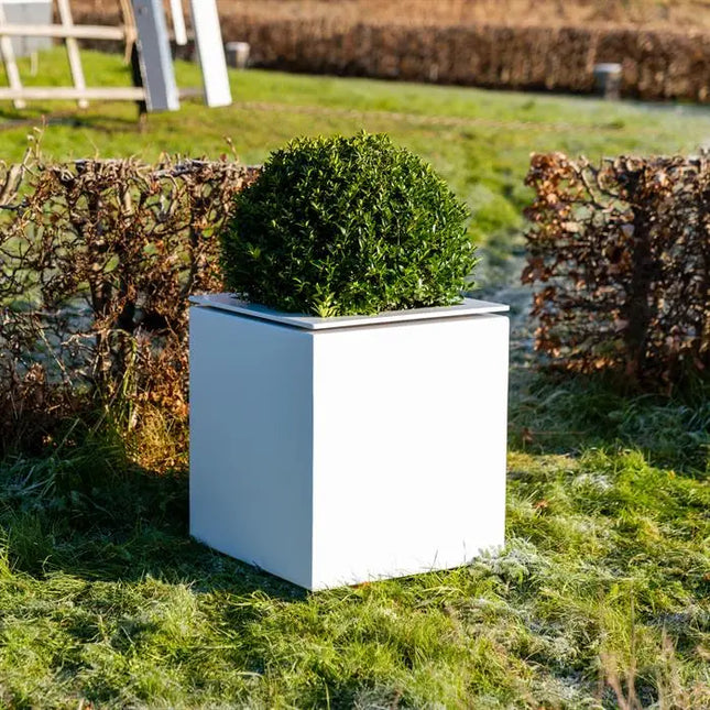 Aluminium Plantenbak 83 x 83 x 70 cm - Met Rand