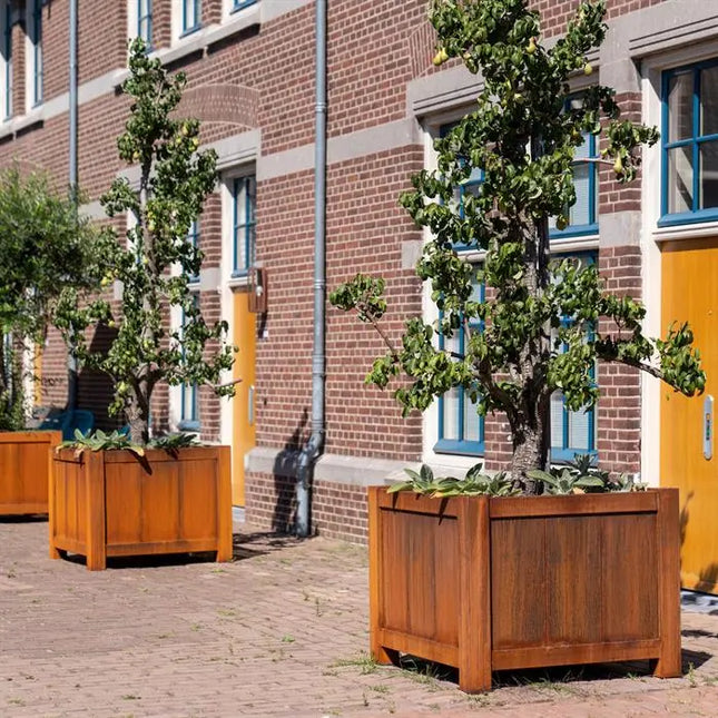 Cortenstaal Plantenbak Op Poten 100 x 100 x 80 cm