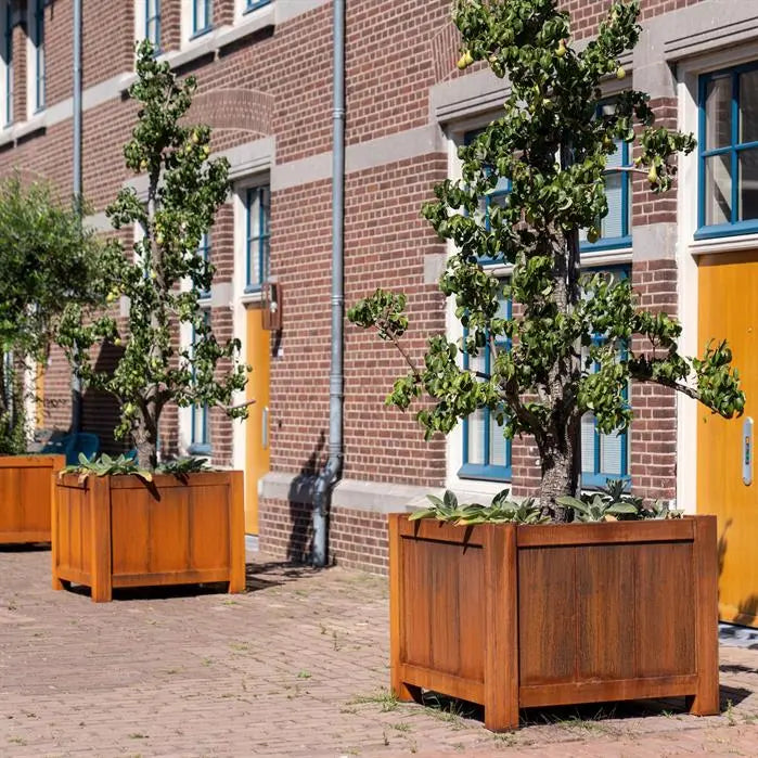 Fioriera in acciaio Corten con gambe, 100 x 100 x 80 cm