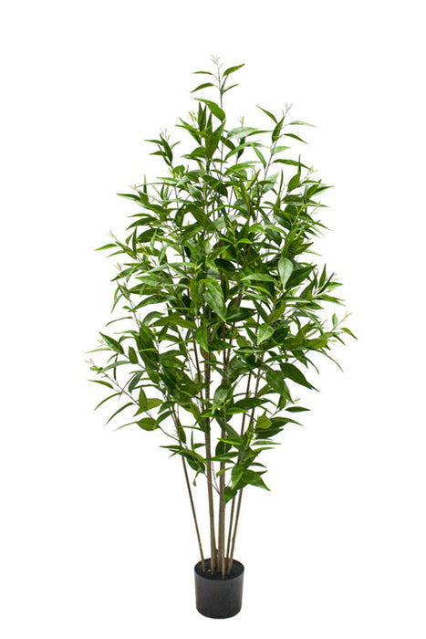 Kunstplant Eucalyptus - ↕180cm
