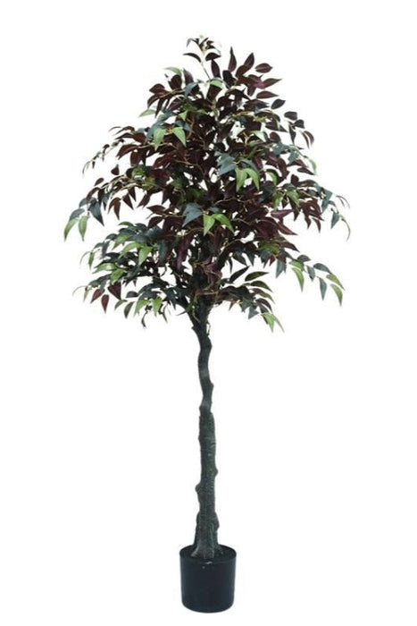 Kunstplant Ficus - ↕150cm