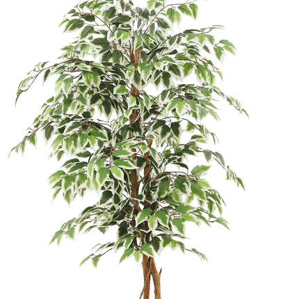 Kunstplant Ficus - ↕140cm