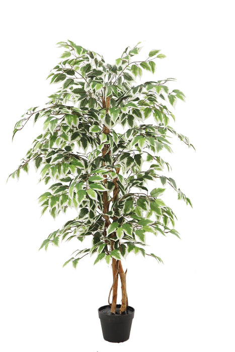 Kunstplant Ficus - ↕140cm