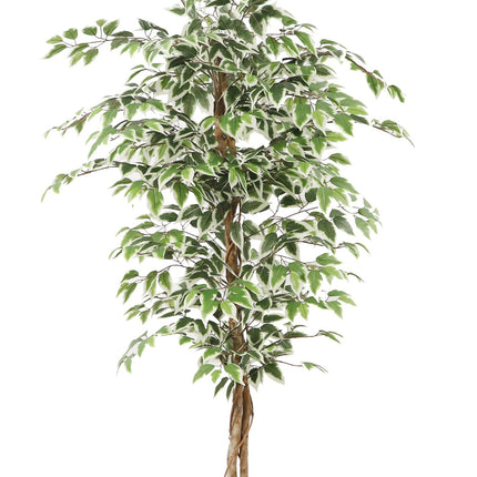 Kunstplant Ficus - ↕160cm