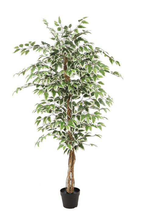 Kunstplant Ficus - ↕160cm