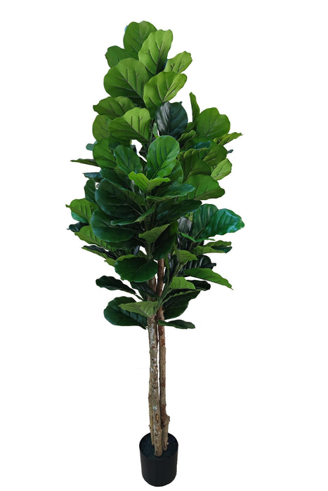 Kunstplant Ficus Lyrata - Vioolbladplant - ↕185 cm