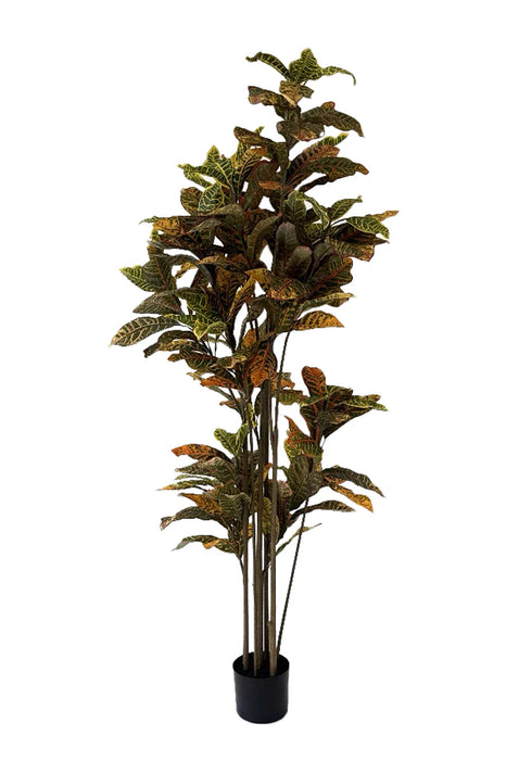 Kunstplant Ficus - ↕180cm