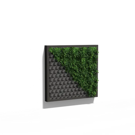 Groene Wand - Hangend muursysteem 215x200x20 cm - Planten wand