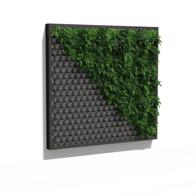 Parete verde - Sistema di parete sospesa 309x300x20 cm - Parete vegetale