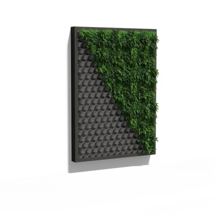 Parete verde - Sistema di parete sospesa 215x300x20 cm - Parete vegetale