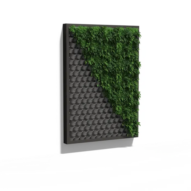 Parete verde - Sistema di parete sospesa 215x300x20 cm - Parete vegetale