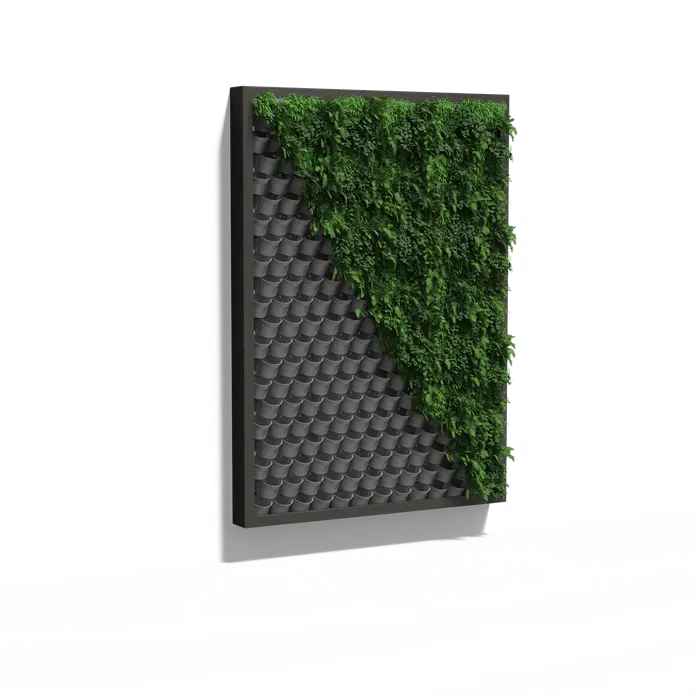 Groene Wand - Hangend muursysteem 215x300x20 cm - Planten wand