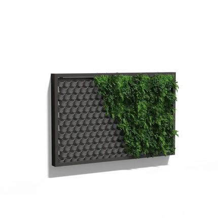 Groene Wand - Hangend muursysteem 309x200x20 cm - Planten wand