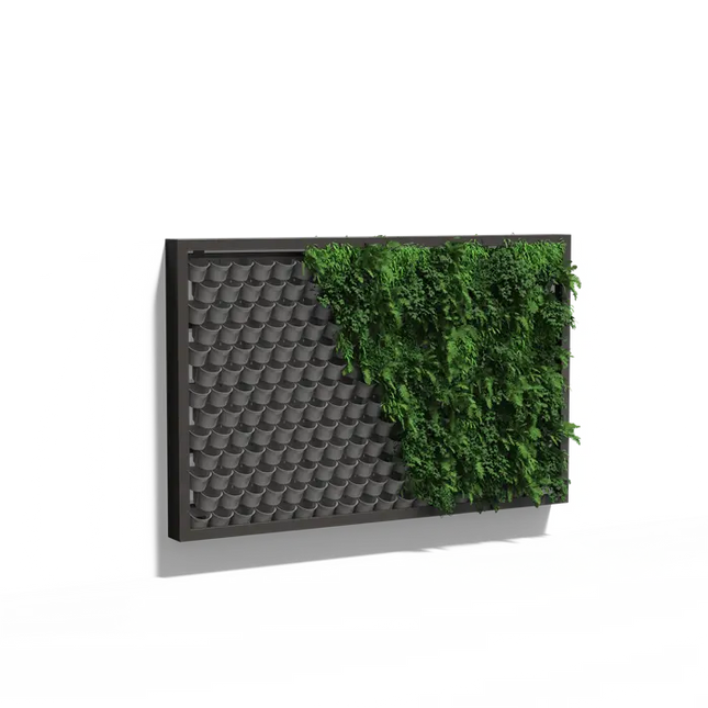 Parete verde - Sistema di parete sospesa 309x200x20 cm - Parete vegetale
