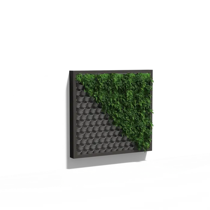 Groene Wand - Hangend muursysteem 215x200x20 cm - Planten wand