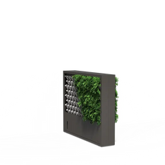 Collection image for: Grüne Wand