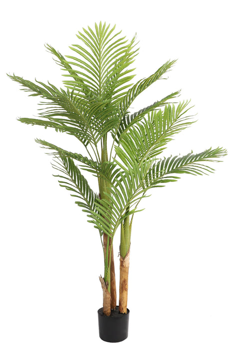Kunstplant Kentia Palm - ↕170cm