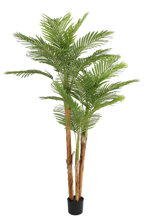 Kunstplant Kentia Palm - ↕190cm