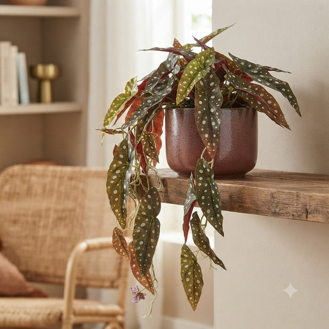 Kunstplant Begonia Maculata - Stippenbegonia - ↕80cm