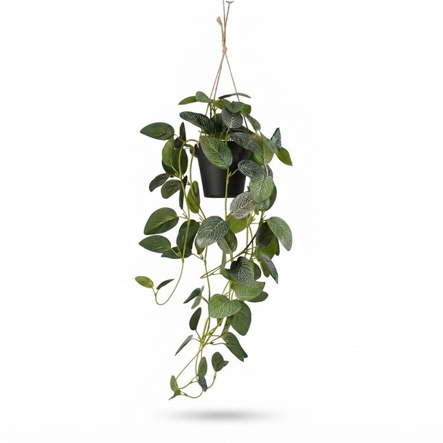 Fittonia artificielle - plante suspendue en pot - ↕70 cm