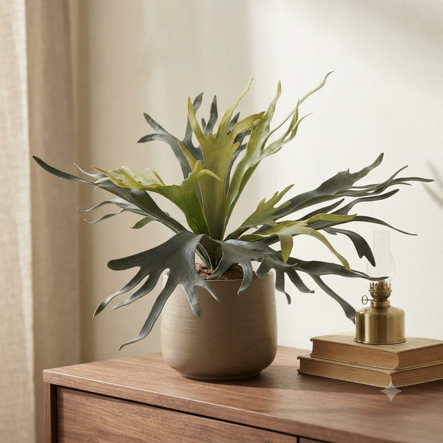 Kunstplant Staghorn Fern - Hertshoorn - ↕50cm - Ø15cm