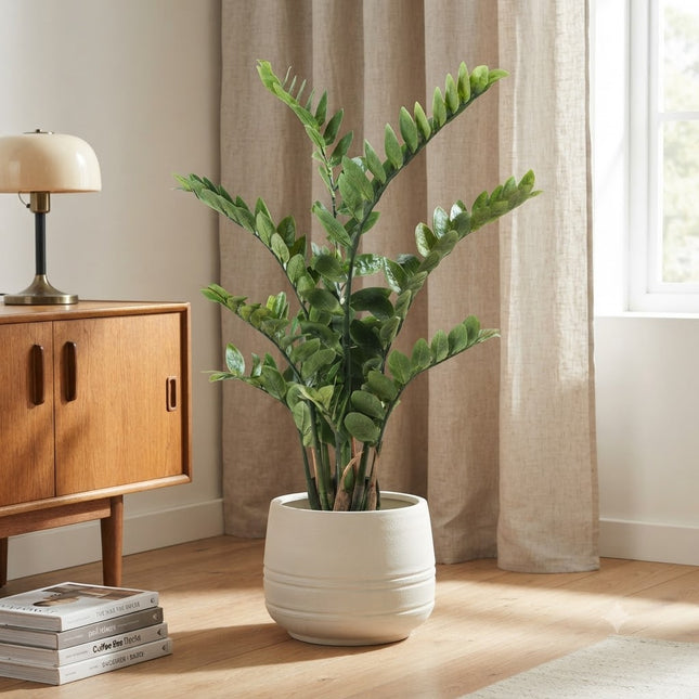 Sztuczna roślina Zamioculcas - Roślina ZZ - ↕110cm - Ø14cm