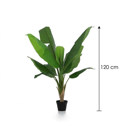 Plante artificielle Bananier Musa - ↕120cm