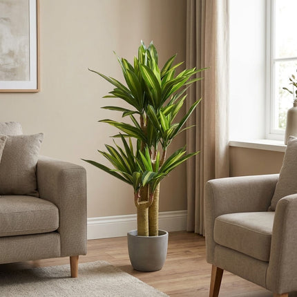 Kunstplant Dracena - ↕145cm