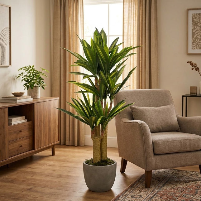 Konstväxt Dracena - ↕145cm