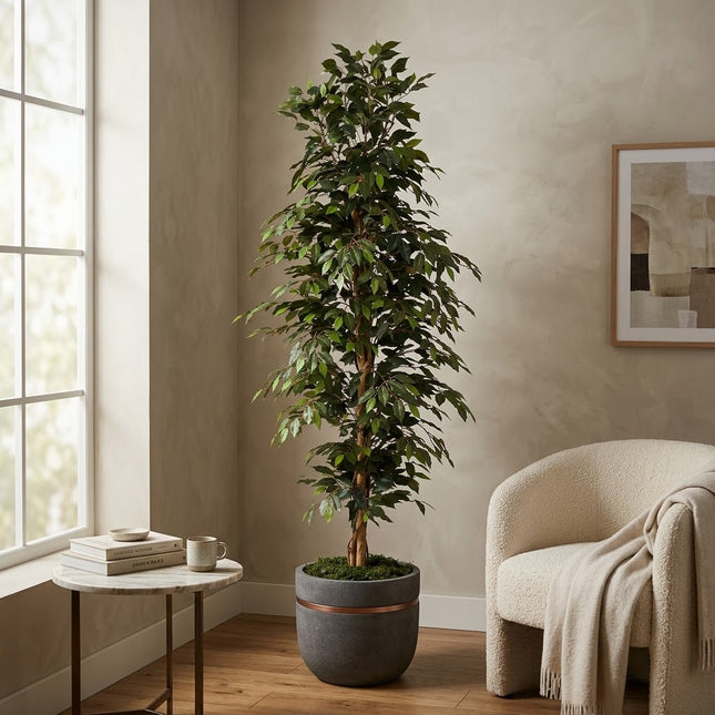 Kunstplant Ficus Benjamina - ↕205cm - Ø20cm