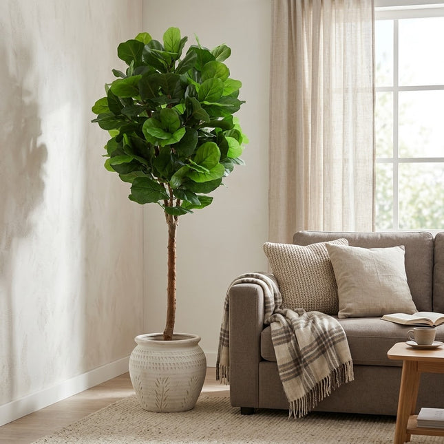 Konstväxt Ficus Lyrata - ↕180cm - Ø23cm