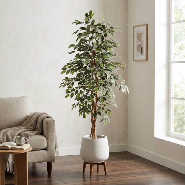 Kunstplant Ficus benjamina variegata - ↕160cm - Ø18cm