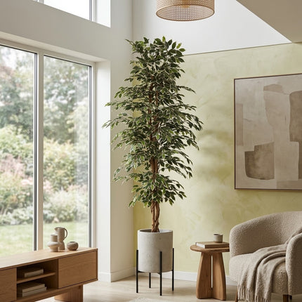 Konstgjord växt Ficus benjamina variegata - ↕205cm - Ø20cm