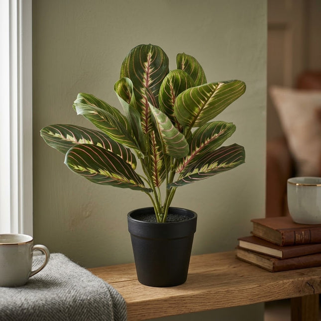 Kunstplant Maranta groen - in zwarte pot - ↕30cm - Ø12cm