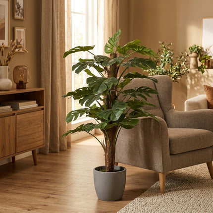 Konstväxt Monstera Pertusum - ↕140cm