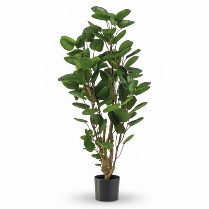 Pianta artificiale - Albero di Polyscias - ↕105cm