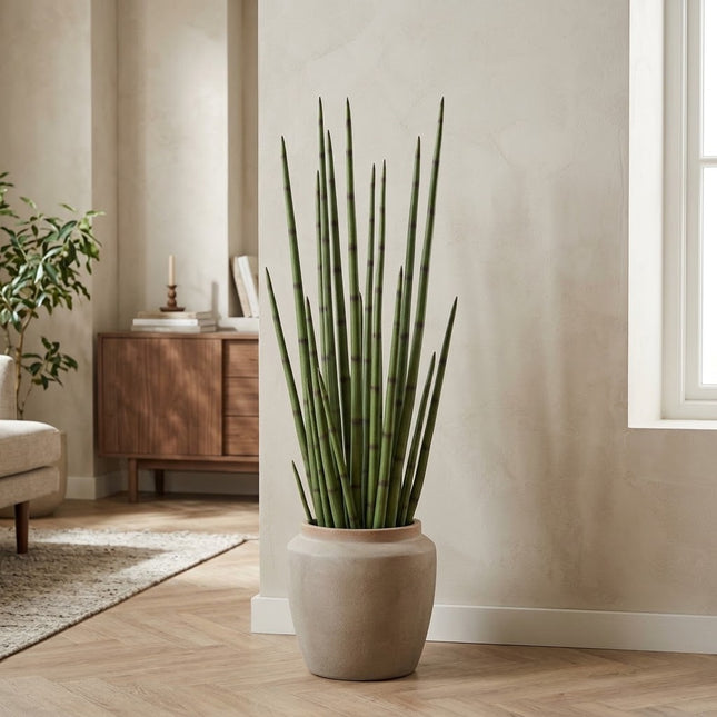 Artificial plant Sansevieria cylindrica M, 120 cm