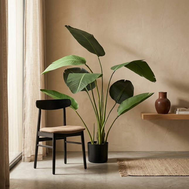 Artificial Strelitzia Plant - In black pot - ↕120cm