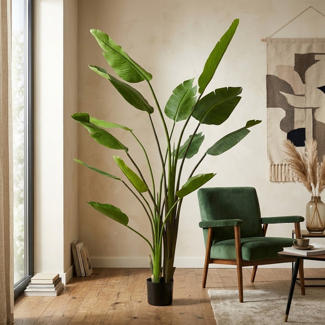 Large Artificial Strelitzia Nicolai Plant - In black pot - ↕180cm