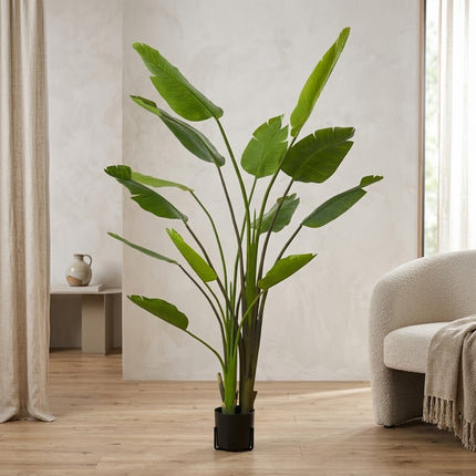 Duża sztuczna roślina Strelitzia Nicolai - w czarnej doniczce - ↕180 cm