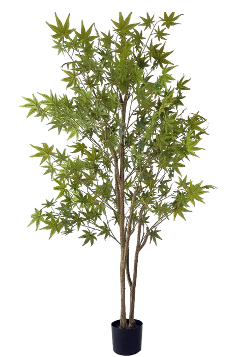 Kunstplant Groene Esdoorn - ↕180cm