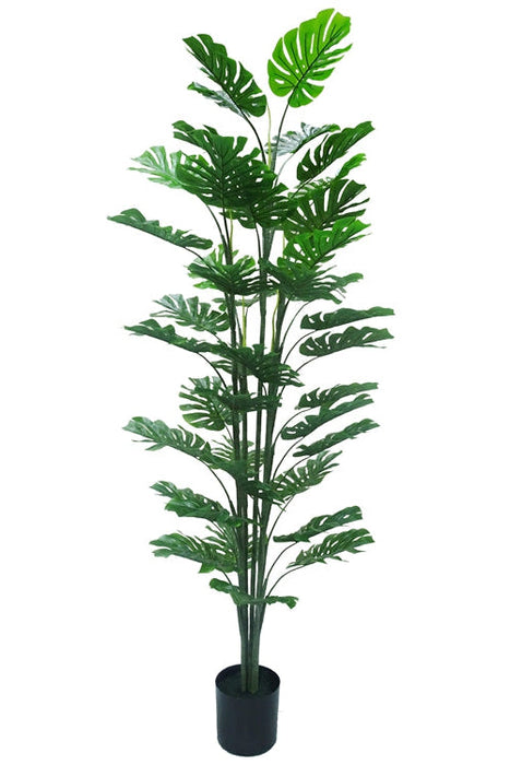 Kunstplant Monstera - ↕180cm