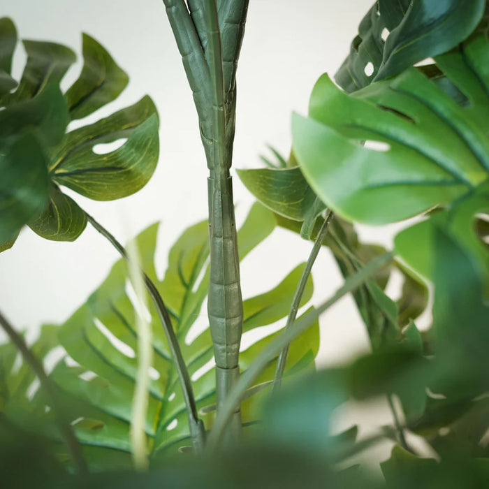 Kunstplant Monstera - ↕160cm