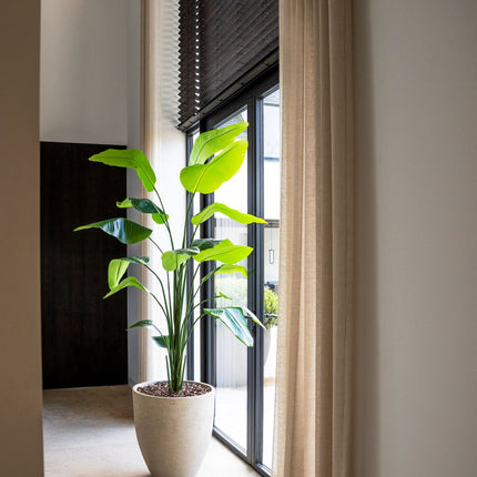 Strelitzia artificial plant 210 cm