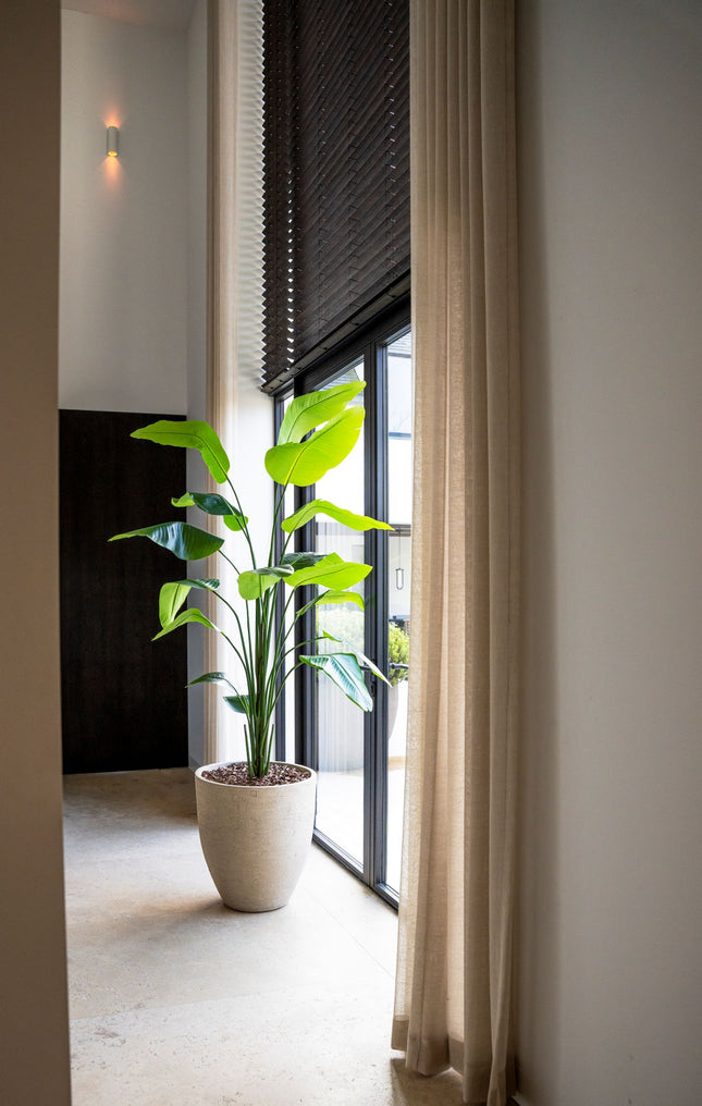 Strelitzia kunstplant 210 cm