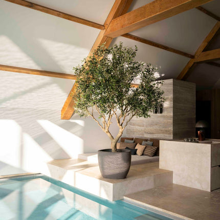 Artificial Olive Tree 250 cm