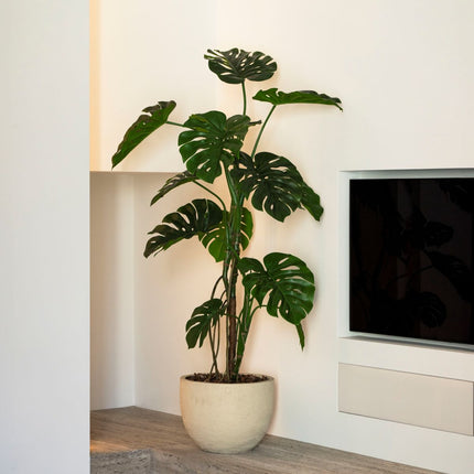 Monstera artificial tree 150 cm