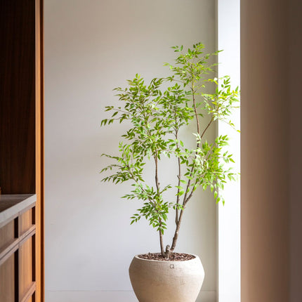 Nandina kunstboom 180 cm