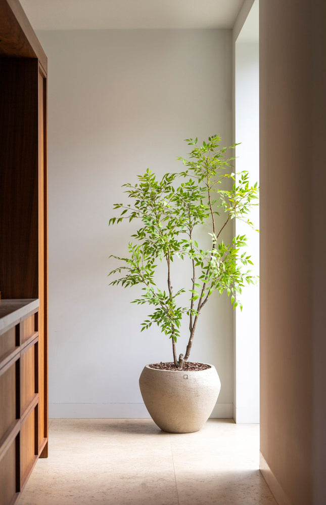 Nandina kunstboom 180 cm